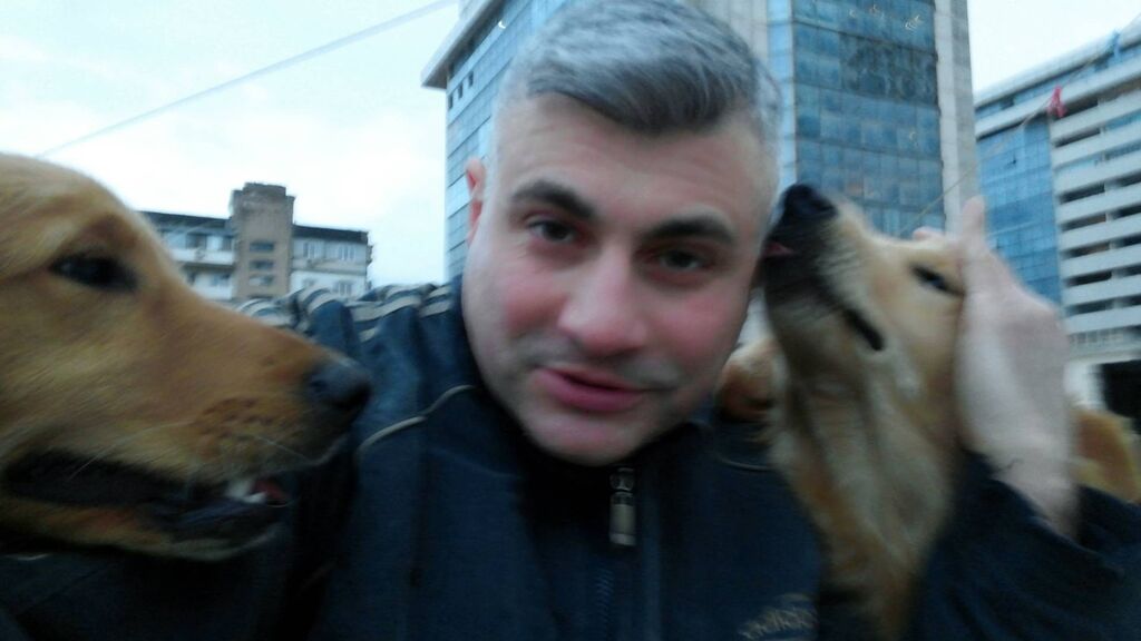 Cinsi və peyvənd olunmuş İtləri gəzdirmək, saxlamaq,