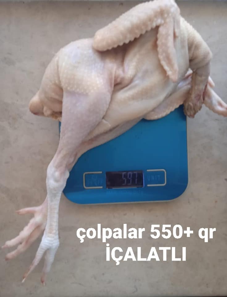 Kəsilib.Təmizlənmiş Serebrist çolpalar ayaqları üstündə ●